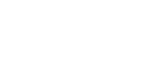 palveluna-logo-valkoinen-300